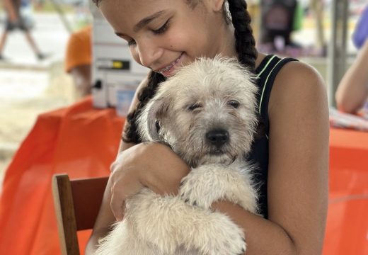 Feira de Adoção em Alagoinhas garante novos lares para animais
