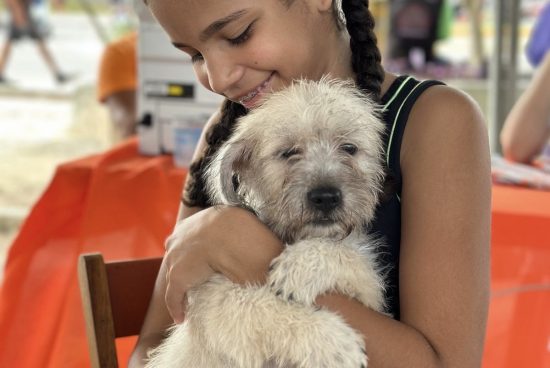 Feira de Adoção em Alagoinhas garante novos lares para animais
