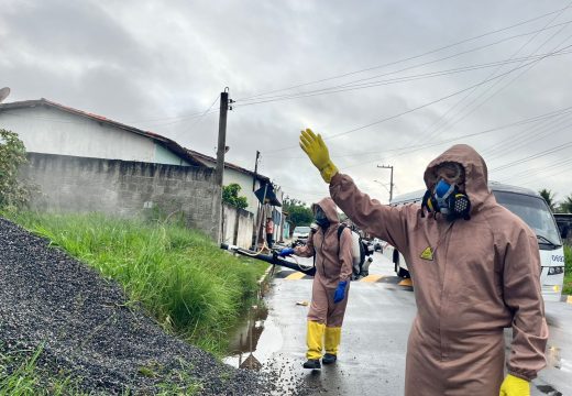 Boletim epidemiológico: Alagoinhas divulga dados das arboviroses