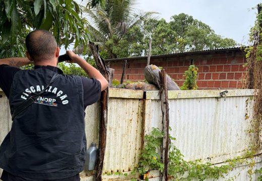 Combate à dengue: Prefeitura de Alagoinhas já notificou donos de 365 imóveis abandonados