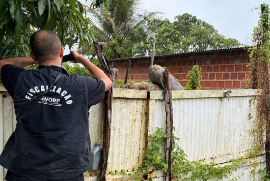 Combate à dengue: Prefeitura de Alagoinhas já notificou donos de 365 imóveis abandonados