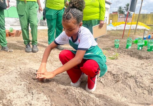 Projeto Alagoinhas Mais Verde ultrapassa 600 árvores plantadas na cidade