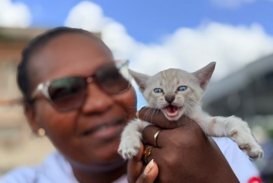 Feira de Adoção mobiliza comunidade e garante novos lares para dezenas de animais