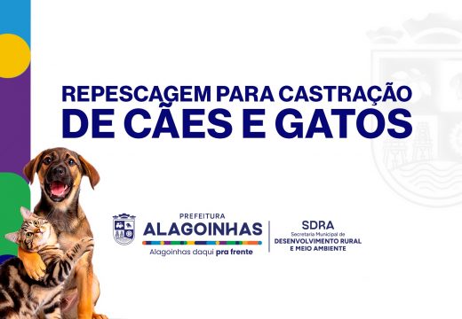 SDRA inicia repescagem para castração gratuita de cães e gatos em Alagoinhas