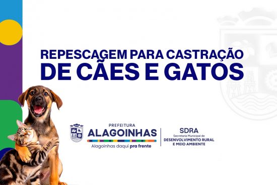 SDRA inicia repescagem para castração gratuita de cães e gatos em Alagoinhas